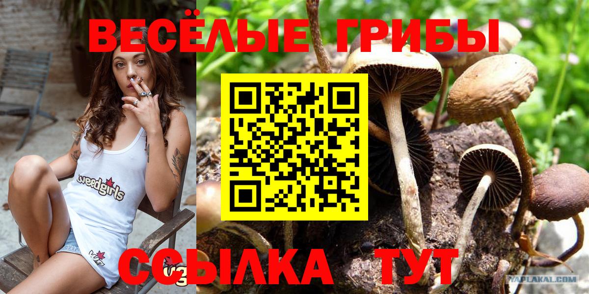 Галлюциногенные грибы Magic Shrooms  Вход с VPN  Галлюциногенные грибы ЛСД  Октябрьский 