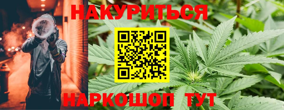 Каннабис сатива Октябрьский